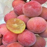 Queen Nina Grape(Cutting/Plant)