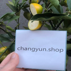 Planta de kumquat crujiente con miel