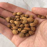 Mixed Yangmei Seeds (Free Shipping)