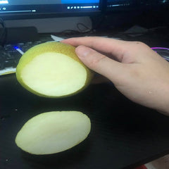 Danxia Red Pear Scion