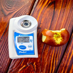 Grafted Oil Pan Jujube Plant